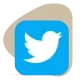 Twitter Management