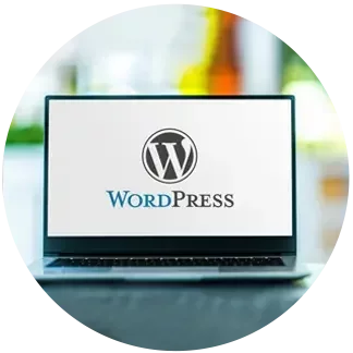 Why Choose WordPress?
