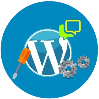 The Importance of WordPress Website Support